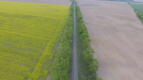 SELO 028 Stock Footage 130068805