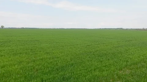 SELO 034 Stock Footage 130068941