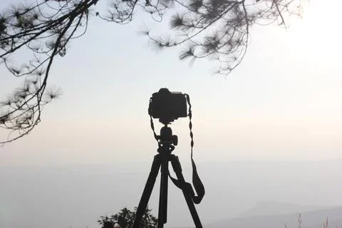 Seloade Stock Photos