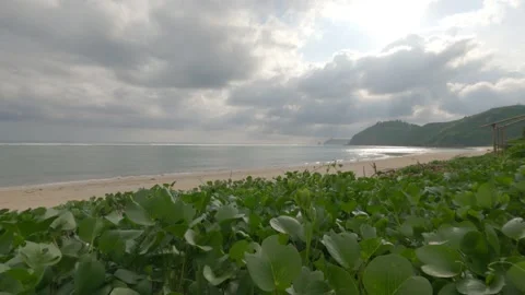 Selong belanak beach sunset timelapse video. Stock Footage 171434645