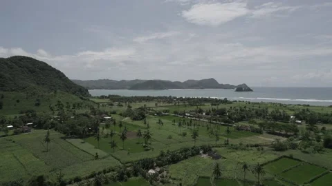 Selong belanak beach view Stock Footage 169830391