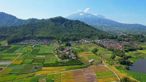 Selorejo rice field valley, Java island, Indonesia, Kawi volcano Vidéo 337461625
