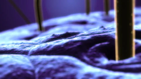 SEM  Scanning Electron Microscope photo of  single human hair and skin. Stock Footage 44560452