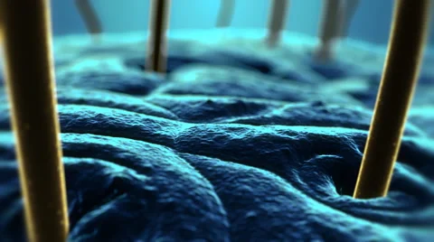 SEM  Scanning Electron Microscope photo of human hair and skin. Blue and yellow. Stock Footage 44566331