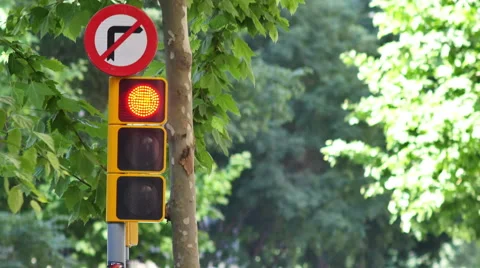 Semaphore Traffic Light Stock Footage 51450296