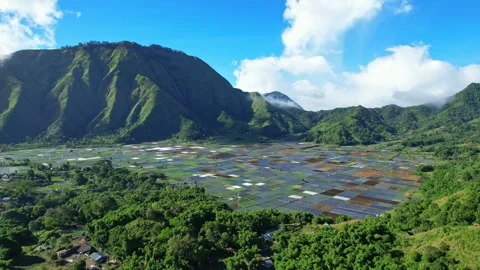 Sembalun back multicolor agricultural fields, the village, in Indonesia 库存影片 337494553