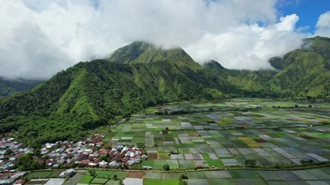 Sembalun multicolor agricultural fields, in Lombok island, Indonesia 库存影片 337467308
