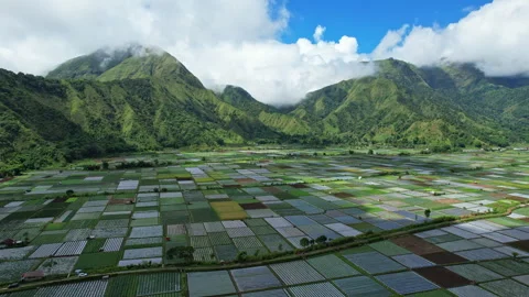 Sembalun multicolor agricultural fields, in Lombok island, Indonesia, shadows 库存影片 337467606