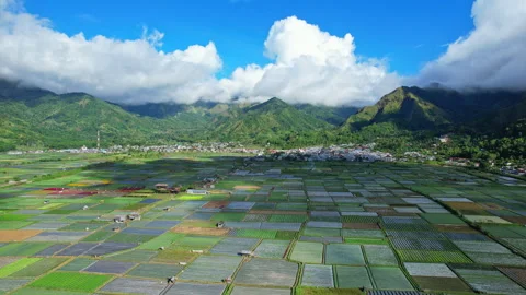Sembalun multicolor agricultural fields, in Lombok island, Indonesia 库存影片 337494622