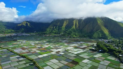 Sembalun multicolor agricultural fields, in Lombok island, Indonesia Vidéo 337494668