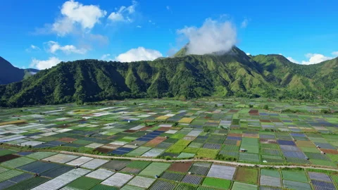 Sembalun multicolor agricultural fields, in Lombok island, Indonesia 库存影片 337494738