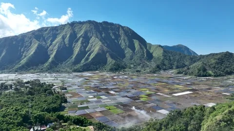 Sembalun Valley patchwork fields stretch beneath Lombok majestic mountains Stock Footage 311133134