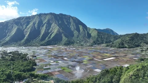 Sembalun Valley patchwork fields stretch beneath Lombok majestic mountains Video stock 311320027