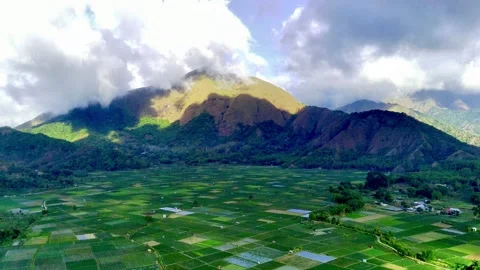SEMBALUN24-10 Stock Footage 337140922
