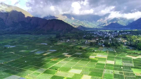 SEMBALUN24-6 Stock-Footage 337140920