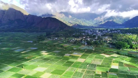 SEMBALUN24-7 Stock-Footage 337140921