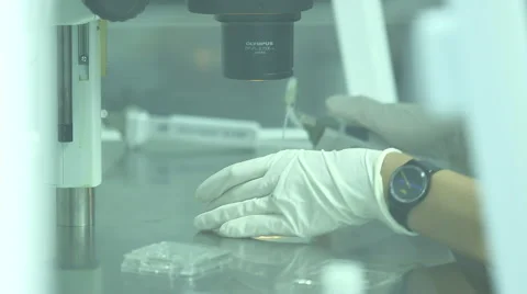 Semen analyzes in the laboratory Stock Footage 40971954