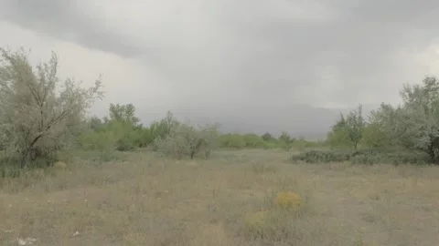 Semi-Arid Landscape with Distant Hills Stock Footage 342035334