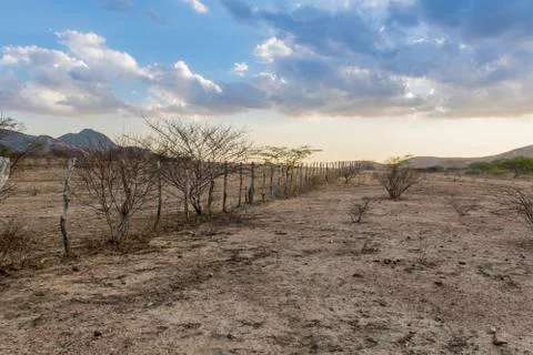 Semi Arid Stock Photos