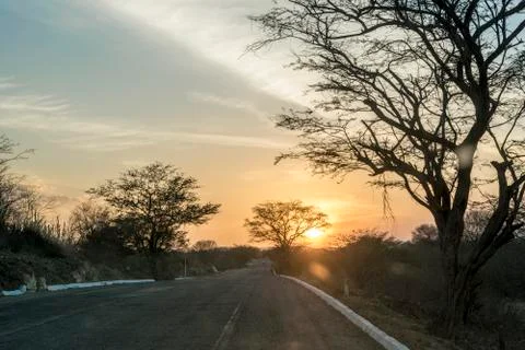 Semi Arid Road Stock Photos