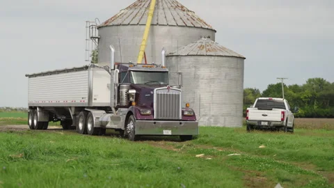 Semi arrives to load grain 스톡 동영상 254720509