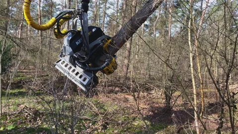 Semi automatic tree saw with hydraulic arm and integrated chain saw Stock Footage 217822536