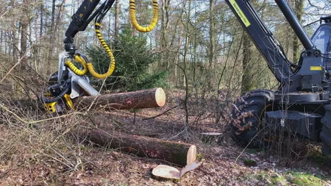 Semi automatic tree saw with hydraulic arm and integrated chain saw. Stock Footage 217823248