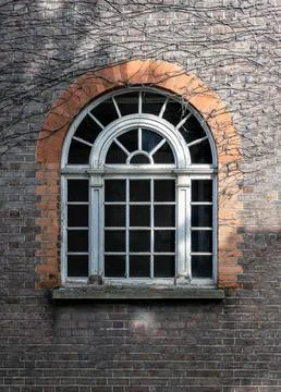 Semi oval mullioned frame window in a Red brick building covered with Climb.. Stock Photos