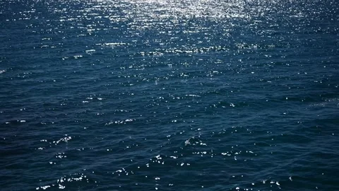 Semi-Rough Tropical Ocean Stock Footage 306016467