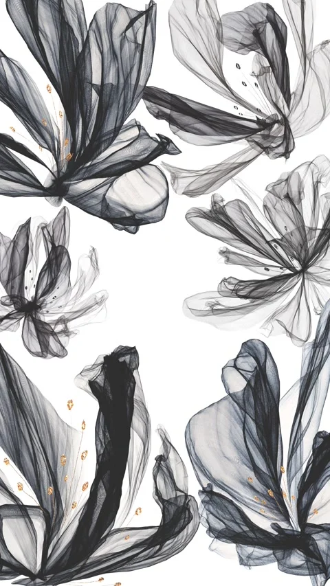 Semi-transparent black flowers vibrating Stock Footage 281868352
