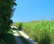 Semi Truck Driving Down Road SD Footage
