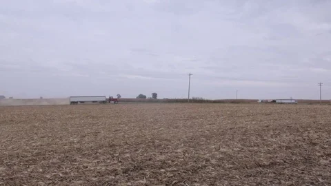Semi Truck Driving Through Empty Cornfield Stock Footage 79034621