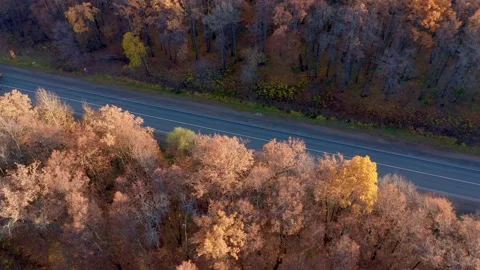 Semi-trucks of various sizes move on a flat road in different directions. Trees Stock Footage 163692956