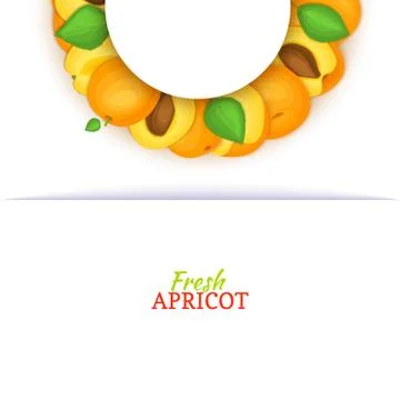 Semicircle colored frame composed of apricot fruit. Vector card illustration. Illustrazione stock