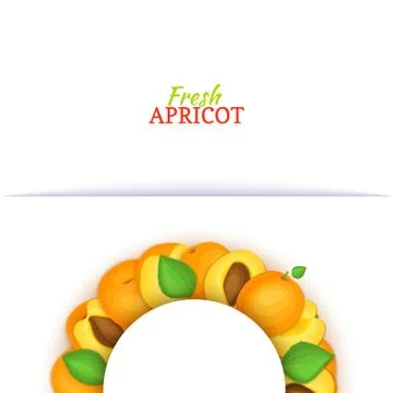 Semicircle colored frame composed of apricot fruit. Vector card illustration. Stock Illustration