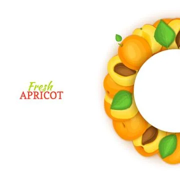 Semicircle colored frame composed of delicious apricot fruit. Vector Stock Illustration