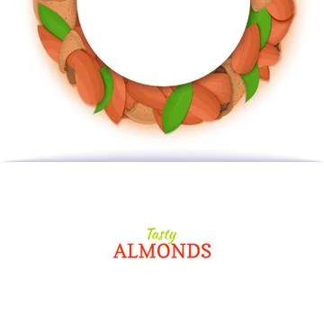 Semicircle frame composed of almond nut. Vector card illustration. Illustrazione stock