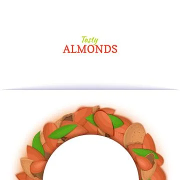 Semicircle frame composed of almond nut. Vector card illustration. Stock-Illustration