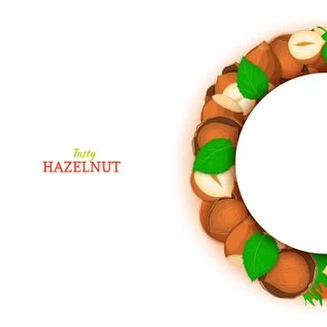 Semicircle frame composed of hazelnut nut. Vector card illustration. Stock-Illustration