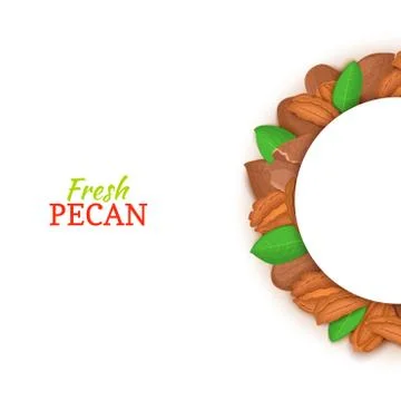 Semicircle frame composed of pecan nut. Vector card illustration. Illustrazione stock