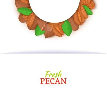 Semicircle frame composed of pecan nut. Vector card illustration. Stock Illustration