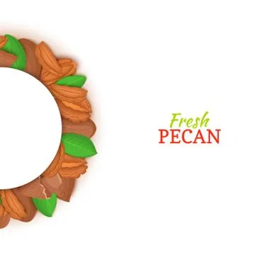 Semicircle frame composed of pecan nut. Vector card illustration. Stock Illustration