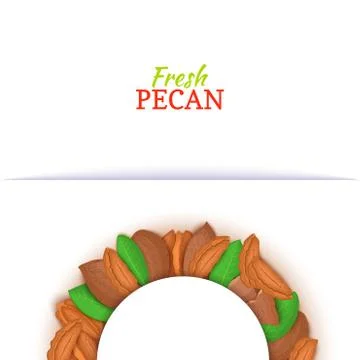 Semicircle frame composed of pecan nut. Vector card illustration. Stock Illustration