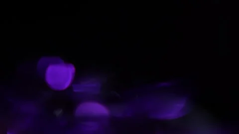 Semicircular matte light rotation and purple bushes on the left on a black backg Stock Footage 315541257