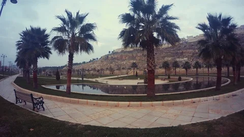 Semicircular Pool With Palms Around on Background Ancient Urfa Cavern Houses Stock Footage 75413486