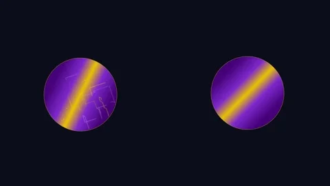Semiconductor Silicon Wafer Disc with Iridescent Purple and Gold Circuit Pa.. Stock Footage 346611671