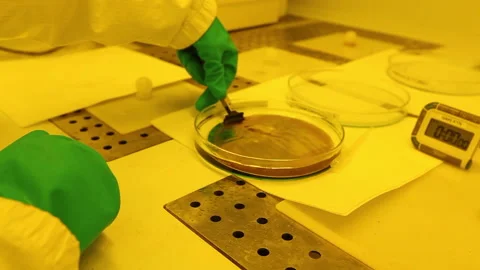 Semiconductors manufacturing facility Stock Footage 144335419