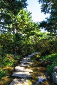 Semiwon garden small stream Stock Photos