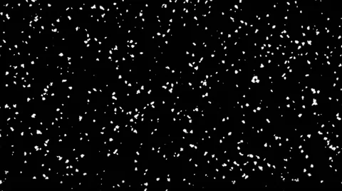 Semless loop snowfall in windy weather slowmotion Stock Footage 41579874