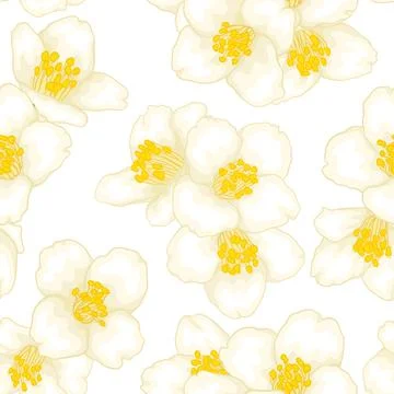 Semless pattern branch white flower jasmine with graphic watercolour style .. Stock Illustration